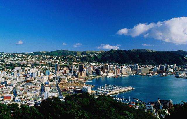 新西兰打工生活视频,新西兰华人农场打工真实生活