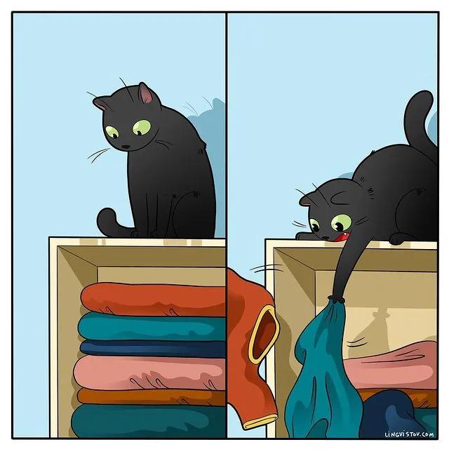 沙雕猫片，笑到床塌！自从做了卑微的铲屎官，比一个人时刺激多了