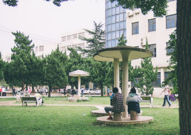 武汉市十大美丽中学,武汉十大美丽学校