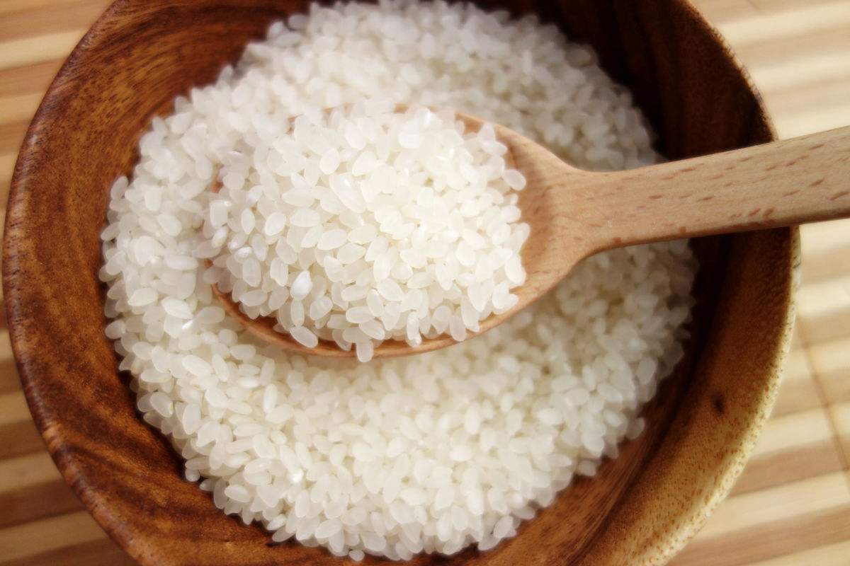 哪款电饭煲煮出来的米饭最好吃,日本哪种电饭煲煮的饭很香