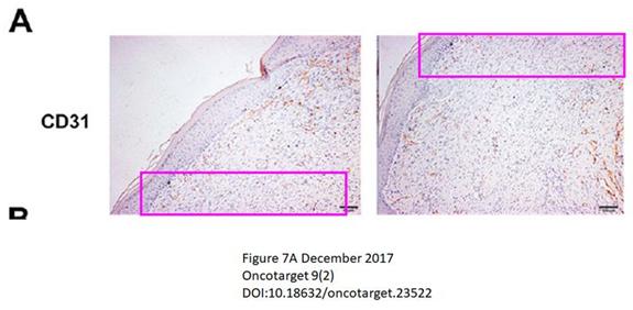 徐州sci论文投稿,徐州医科大学论文
