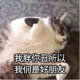猫的内在品质,猫的本质就是嫌弃主人