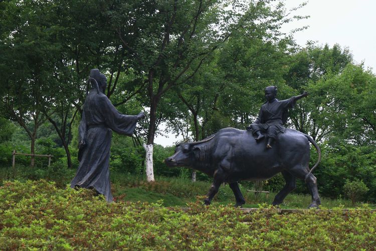 牧童遥指杏花村真正意思,牧童遥指杏花村的遥意思