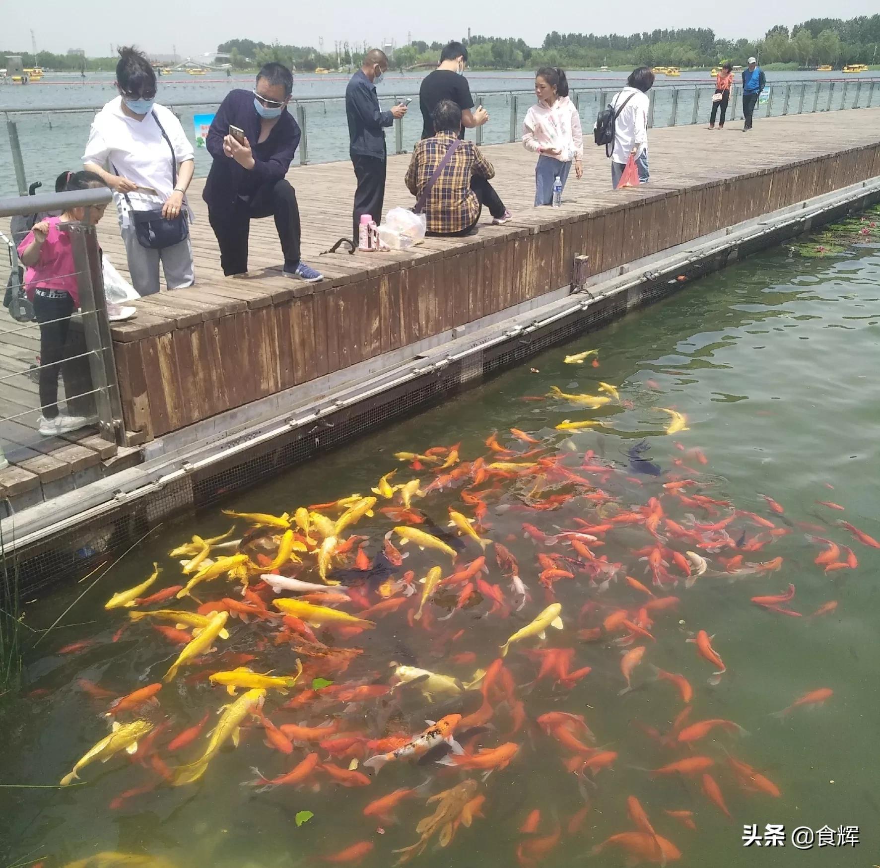 哪些事是到了山西才知道的,鹿泉那些事