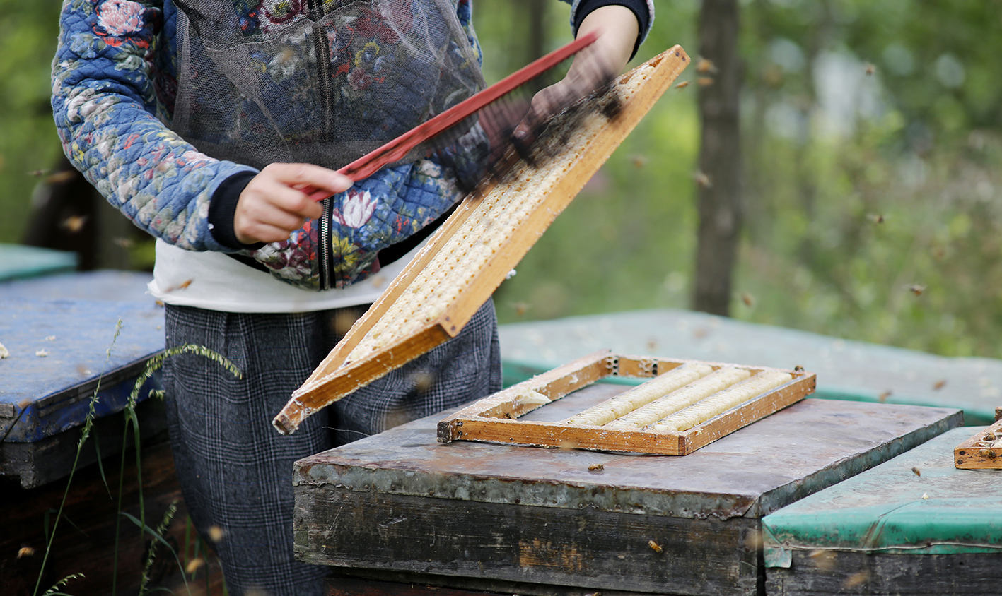 增强免疫力吃蜂王浆好还是蜂胶好,蜂王浆是提高免疫力最好的补品吗
