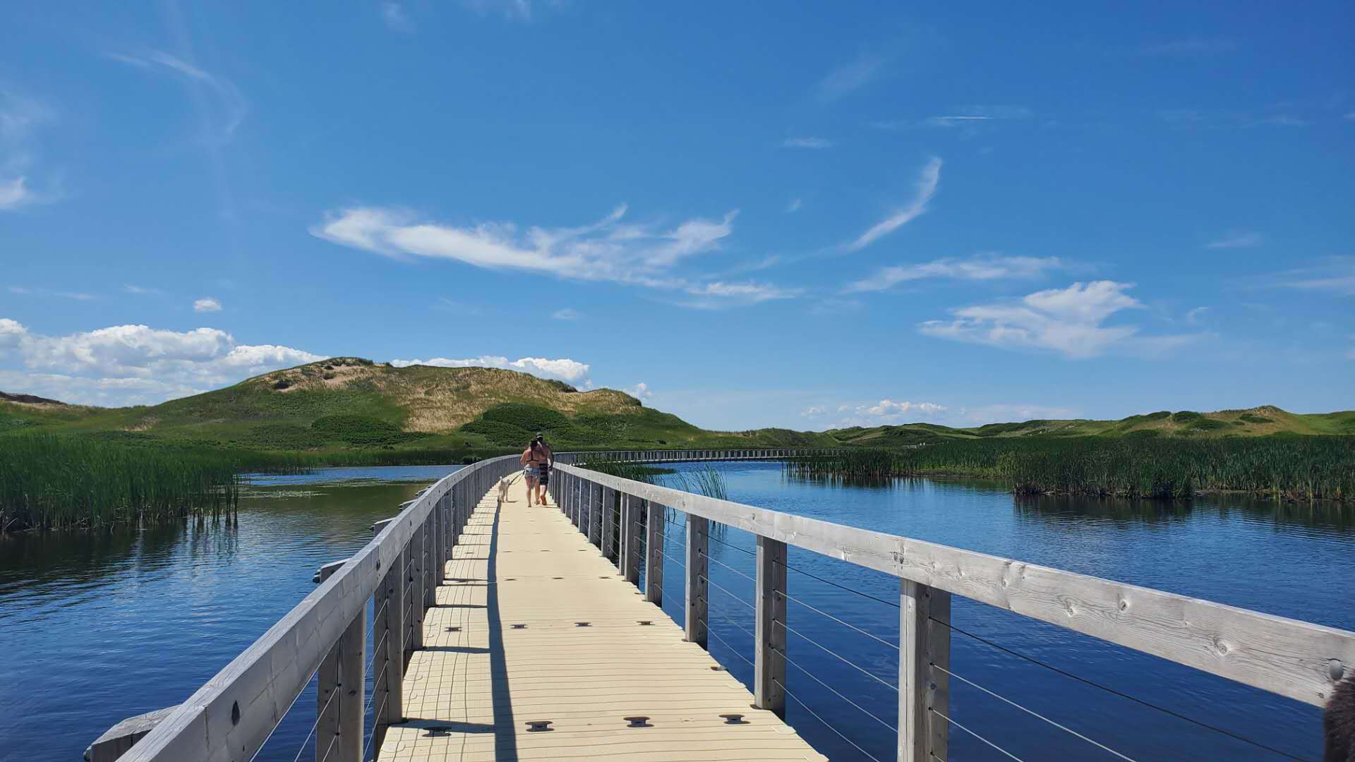 爱德华王子岛旅游,爱德华王子岛避暑之旅