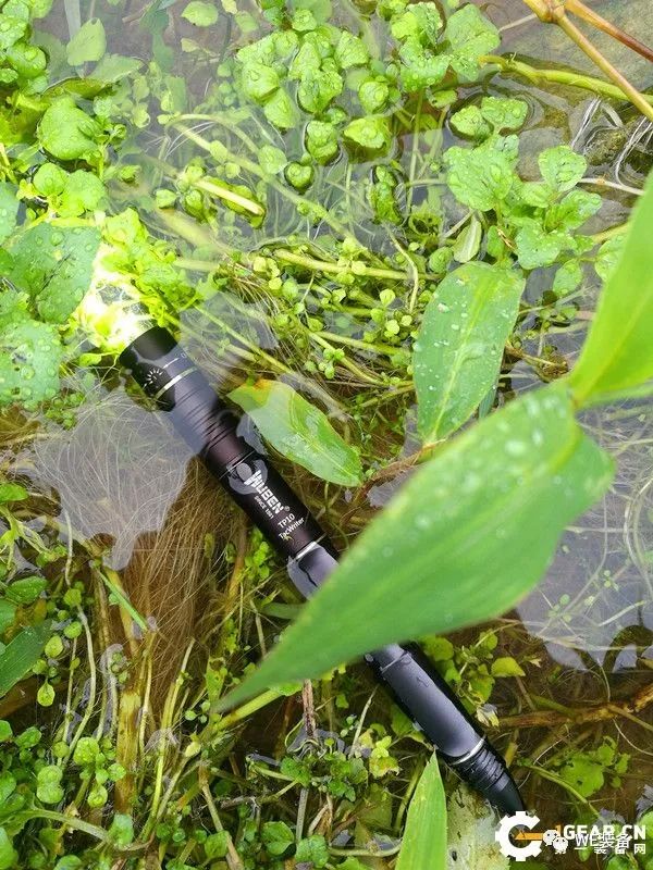 一举未必三得——务本TP10战术笔入手体验