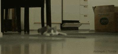 千手观音都不够“剁手”的产品，直播告诉你