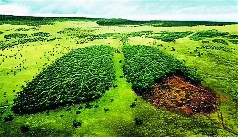 全球肺癌关注日照片,全球治疗肺癌最新消息