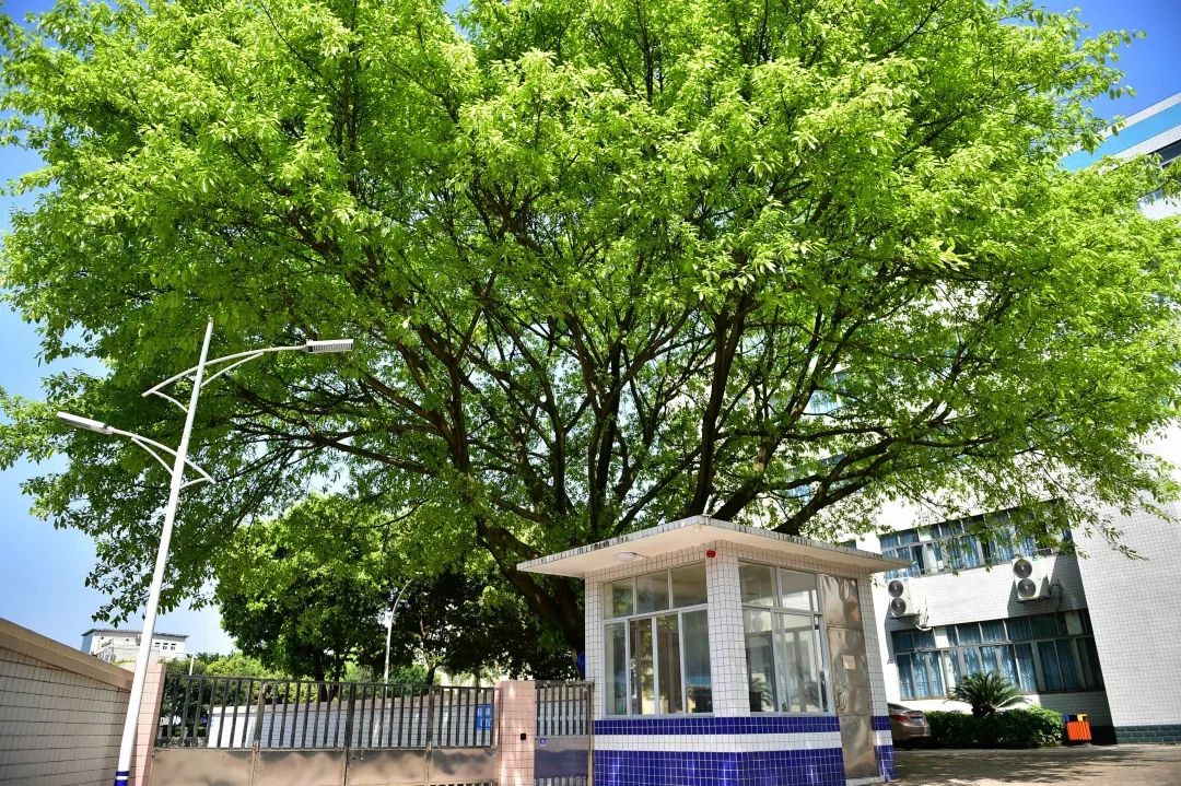 广东松山职业学院有本科读吗,广东高职高考复习资料推荐