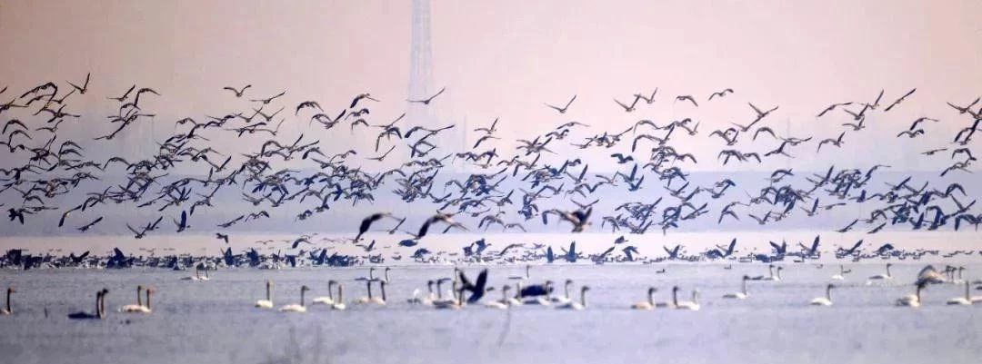 这些地方颜值逆天，却被土到掉渣的名字坑惨了