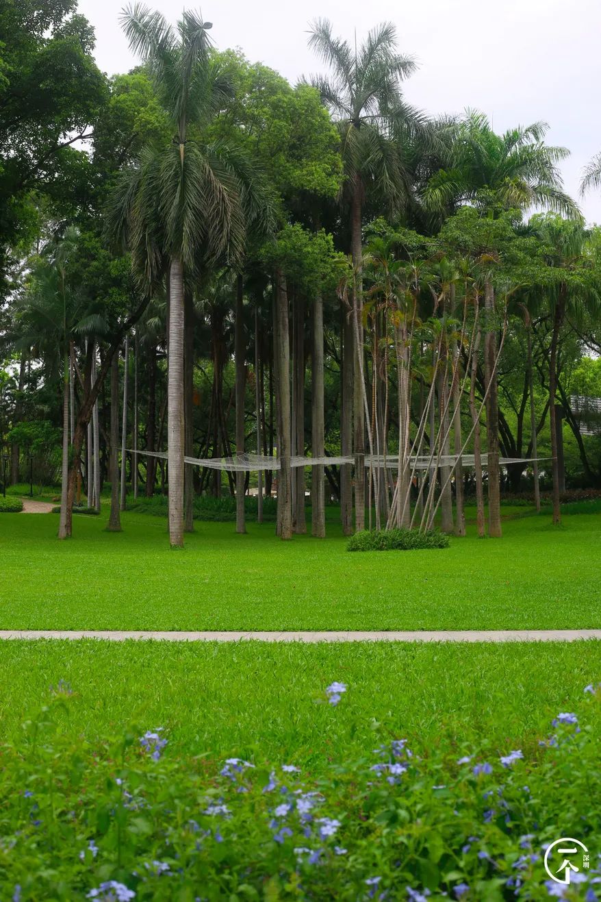 深圳一座被高估的城市,深圳严重被低估的板块