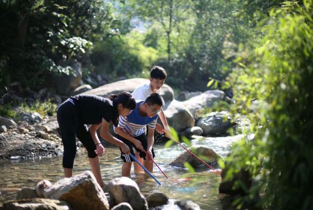 儿时的乡情散文,乡情散文模板