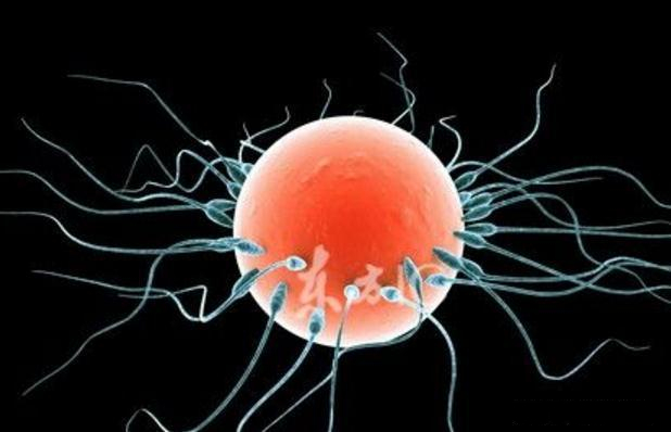 “同房”后，女性身体这些部位感到疼痛，可能是“好孕”到来