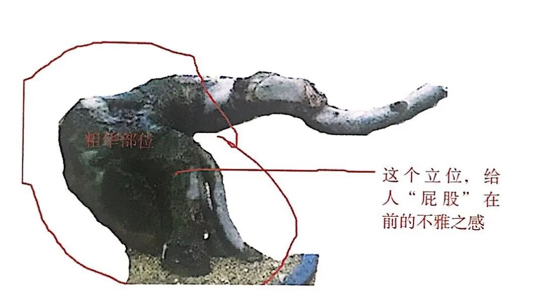 小榆树盆景设计100种形态,榆树盆景用的榆树是什么品种