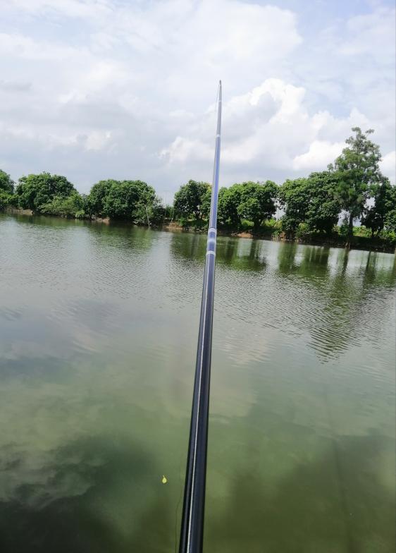 新手选鱼竿怎么选,新手怎么选鱼竿最合适