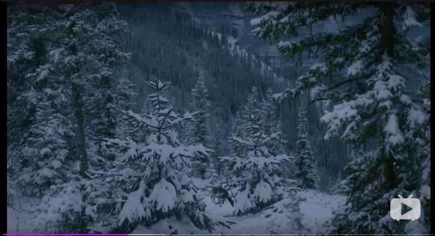 苍天啊大地啊是刘欢的哪首歌曲,苍天啊大地啊是哪个小品