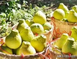 广东21个地级市,广东有哪些地级城市