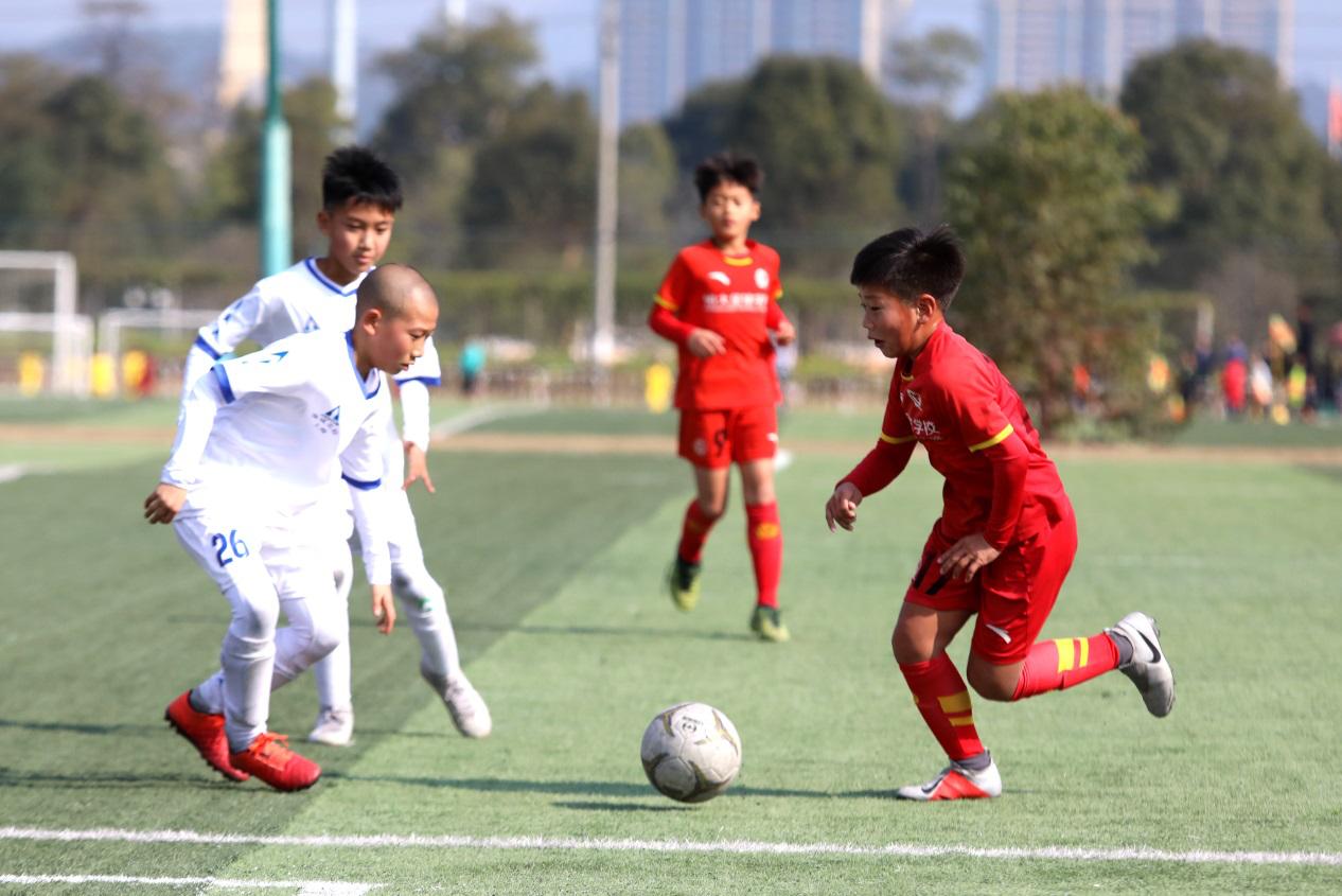 广州恒大足校最新消息,恒大最新足校消息