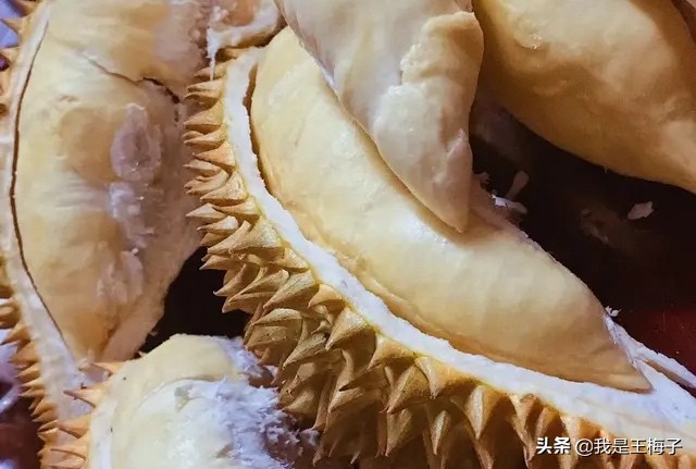 买榴莲时教你4招,买榴莲技巧口诀