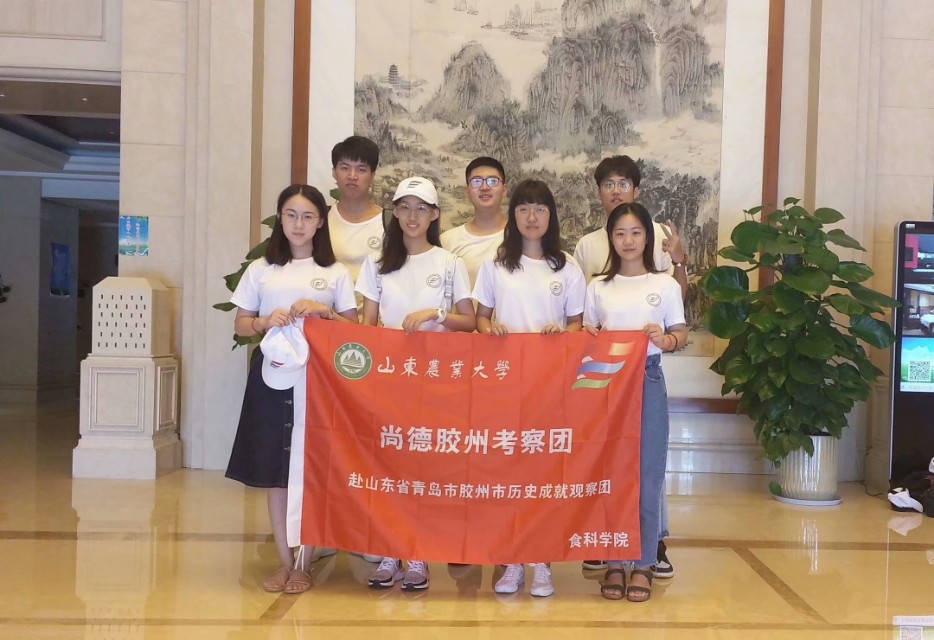 我眼中的滨城,我眼中的胶州市