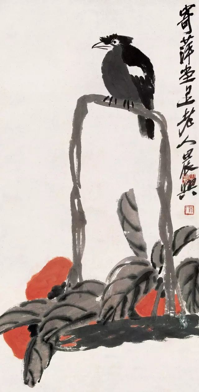 柿柿如意心情语录,致2019这一年