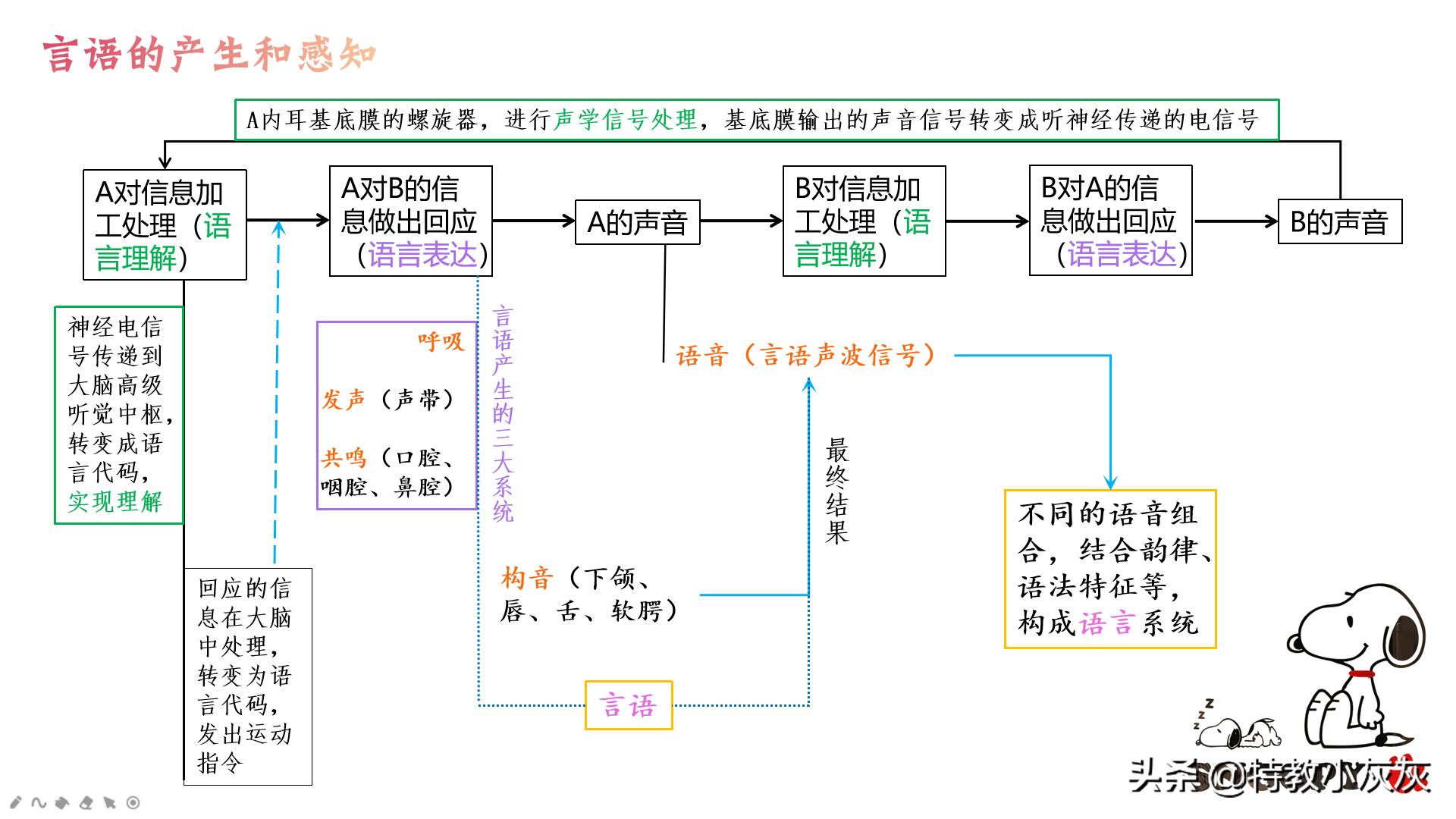 自闭症口部肌肉训练方法,自闭症儿童可以通过运动来治疗