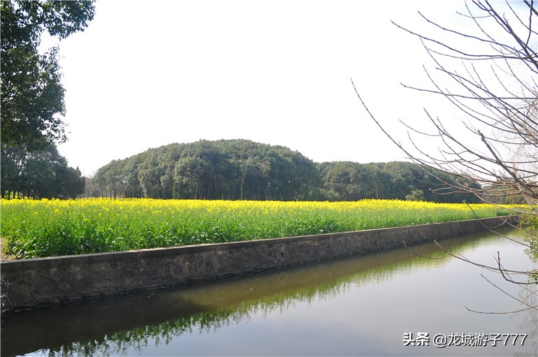 重游天一度假村,重游旧地去哪玩