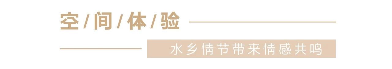 经典案例|董小婉、谭福锅、卢家妈妈……如何炼成爆红品牌？