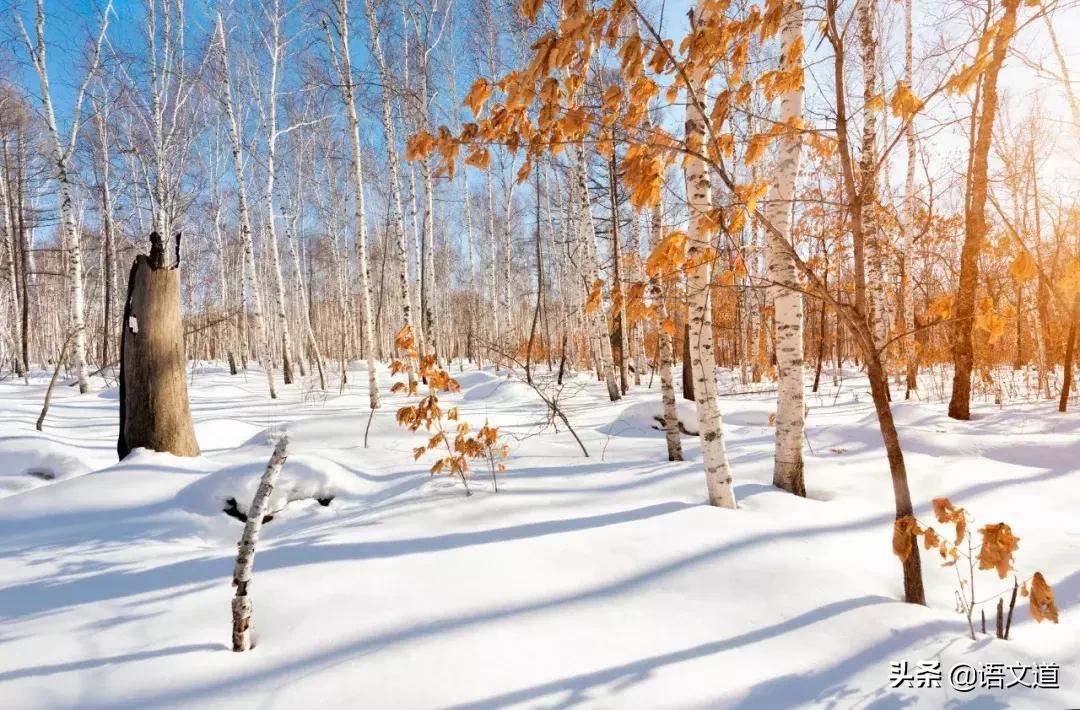 这20位诗人用30首诗词,写尽了冬天的美