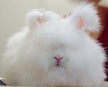 笑话是什么笑话一点不好笑,好笑的笑话客家的笑话