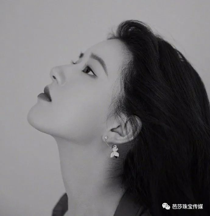 戴上陆海空萌宠团，天天都不缺好心情