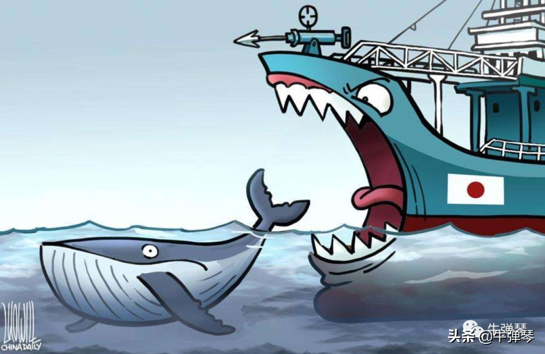 日本最可怕的是什么东西,日本这些可怕的细节