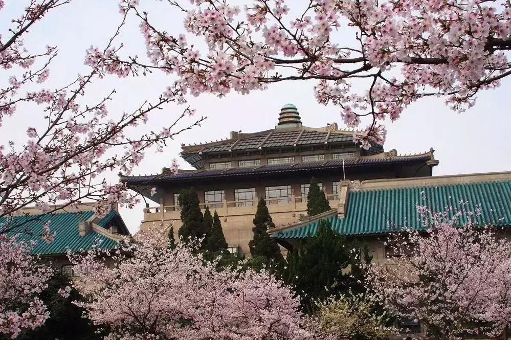 大学社团活动真实感受,进入大学如何丰富自己的业余生活