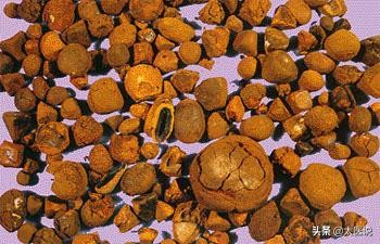 閭ｄ簺浣犵煡閬撳悗涓嶆暍鍚冪殑涓嵂,閭ｄ簺璁╀綘涓嶆暍鍚冪殑涓嵂