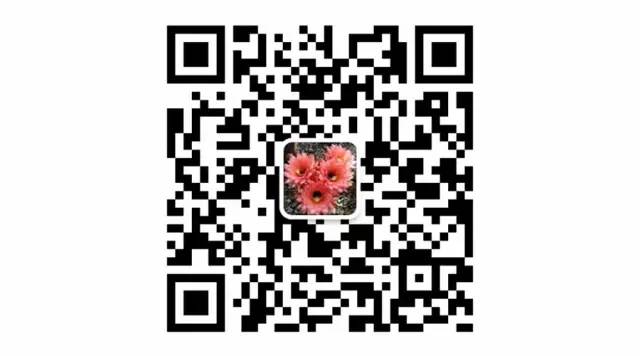 足球团扇图片,足球团扇学名