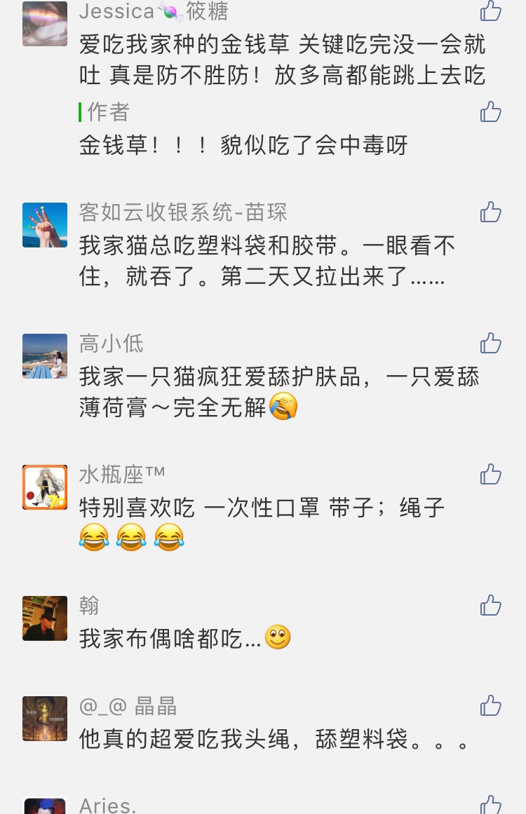 我家猫咪爱吃塑料袋橡皮筋，愁死了！别慌，猫咪异食癖需正确引导