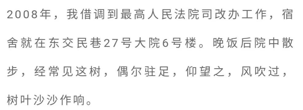 「书香佳韵」厦门市中级人民法院黄鸣鹤：台阶上的皂角树