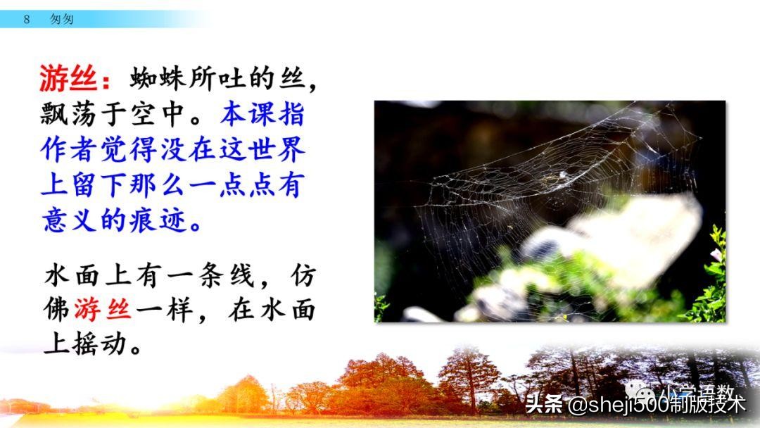 六年级下册语文书8课匆匆的预习,部编版六年级下第八课匆匆讲解