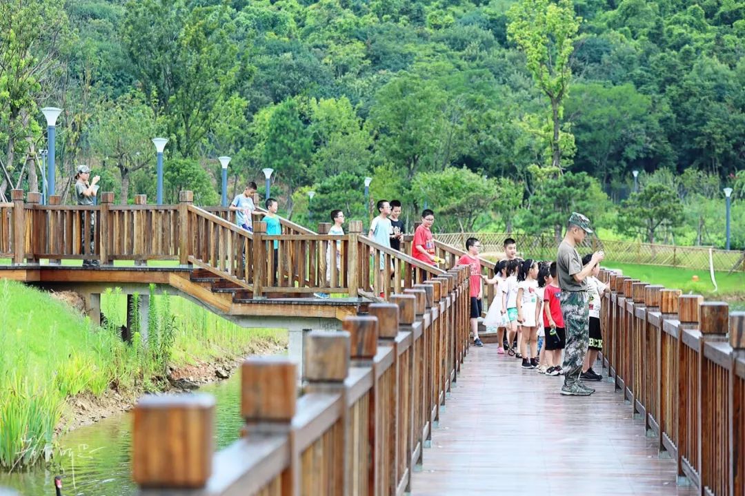 房车露营旅行推荐,自驾出游露营野炊房车营地