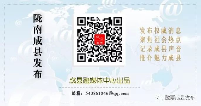 陇南机场最新时刻表,陇南成州机场今天航班