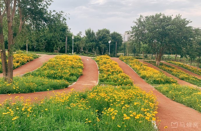 北京郊野公园免费景点,北京24小时开放免费公园