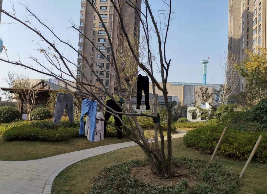 徐州小区实探,徐州网红吐槽商场