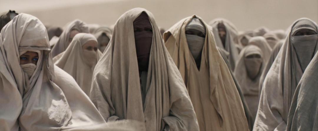 沙丘被称为烂片的原因,沙丘是烂片还是好片