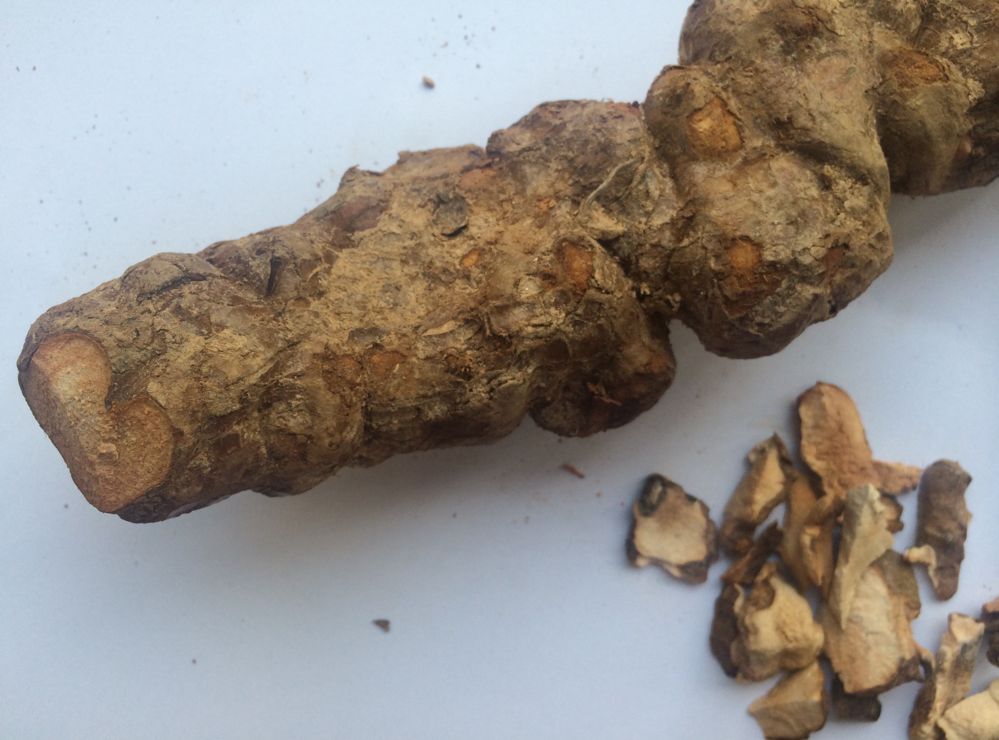 夏季祛湿的中药有哪些,夏天祛湿健脾中药饮