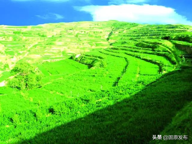 70年·夸夸我的城｜固原：吾心安处是吾乡，蓄势待发未来可期！