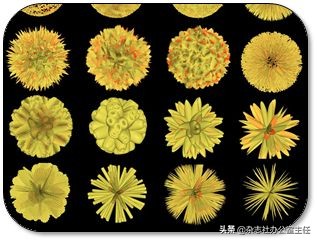 科研绘图流程模板,科研绘图教程