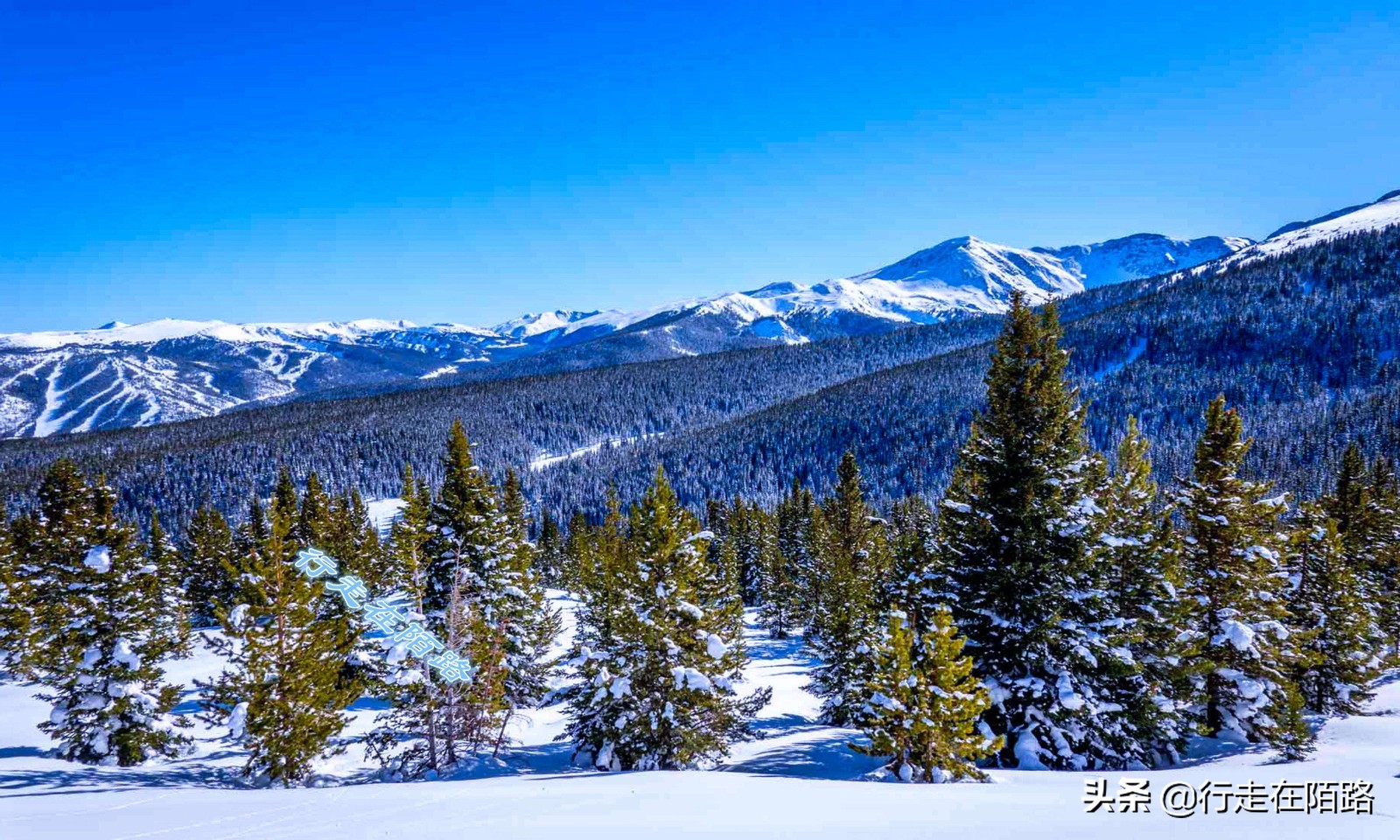 气候变暖引起的冰川变化,冰川大面积变暖