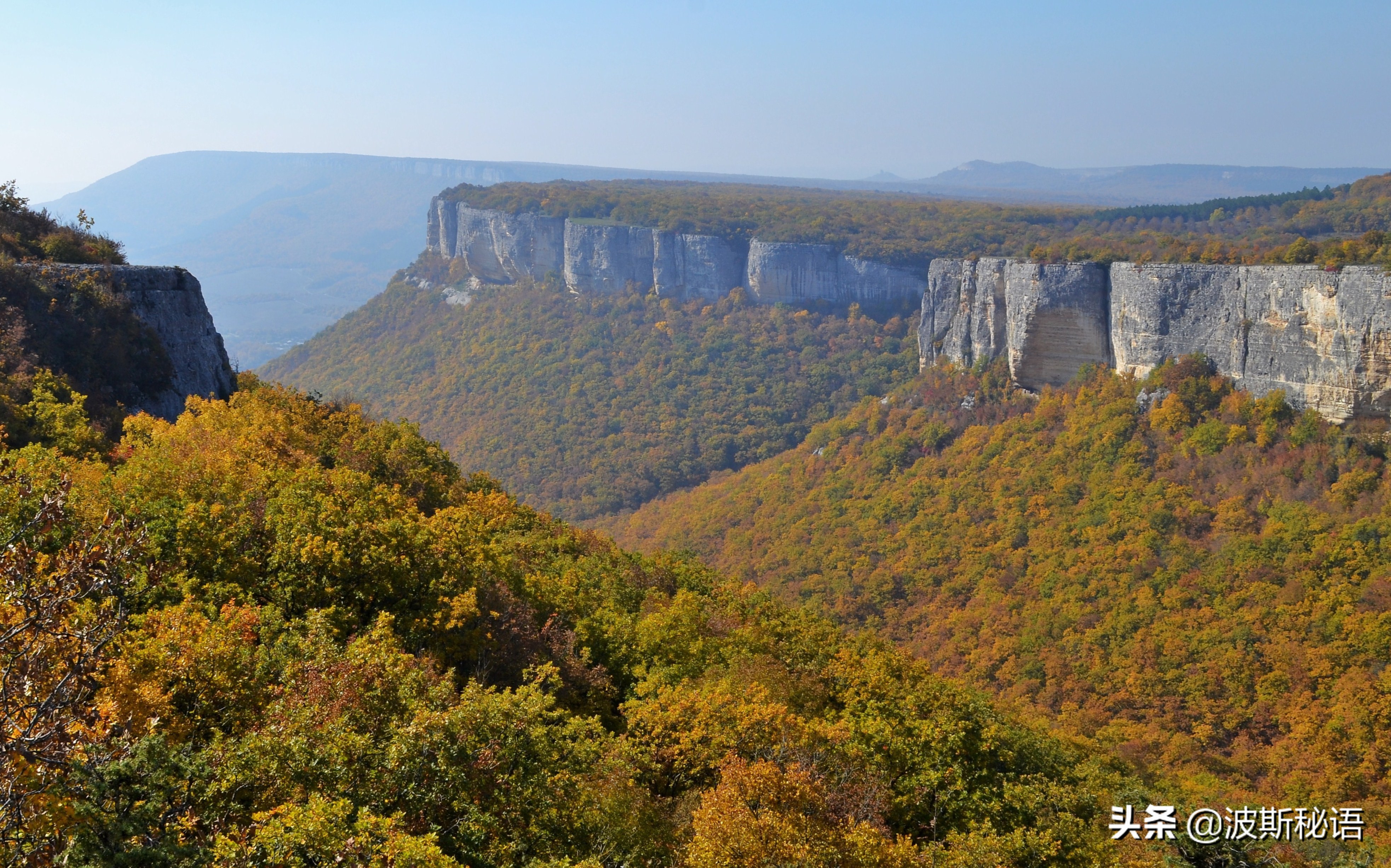 伊朗开心果质量怎么样,伊朗开心果