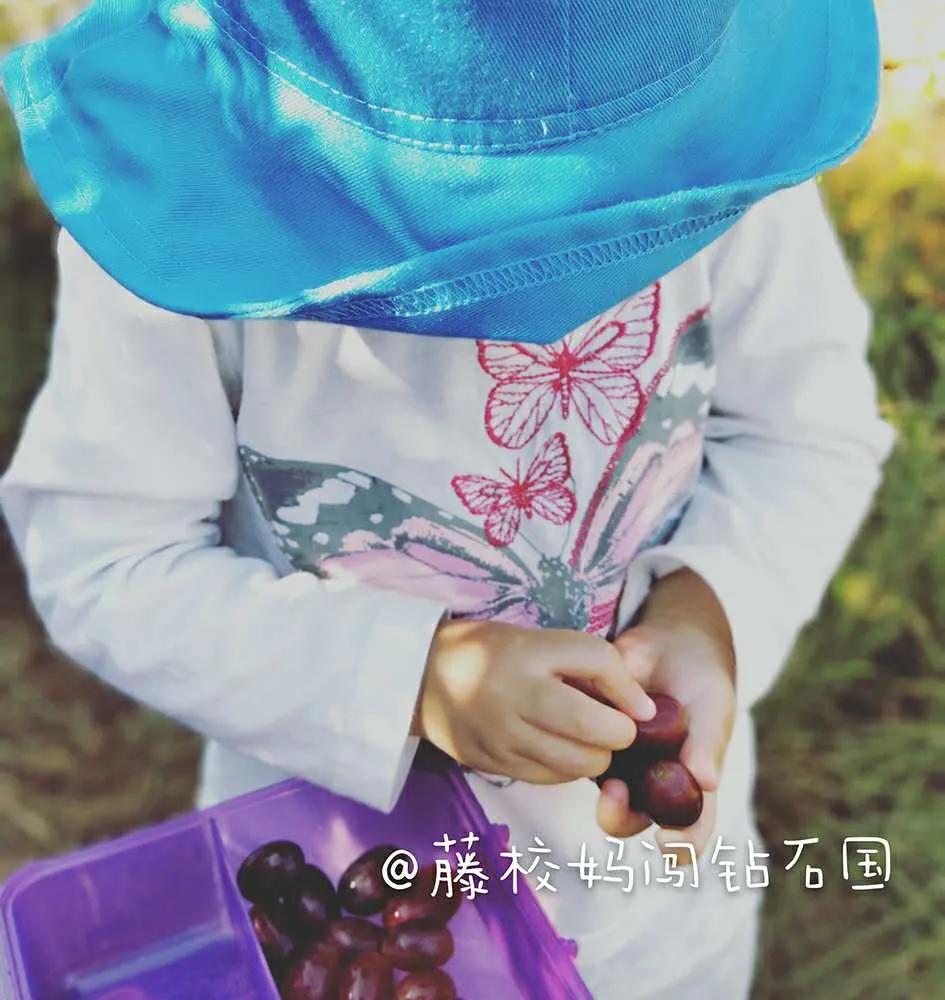 哈佛妈妈教英语启蒙,哈佛妈妈学习方法